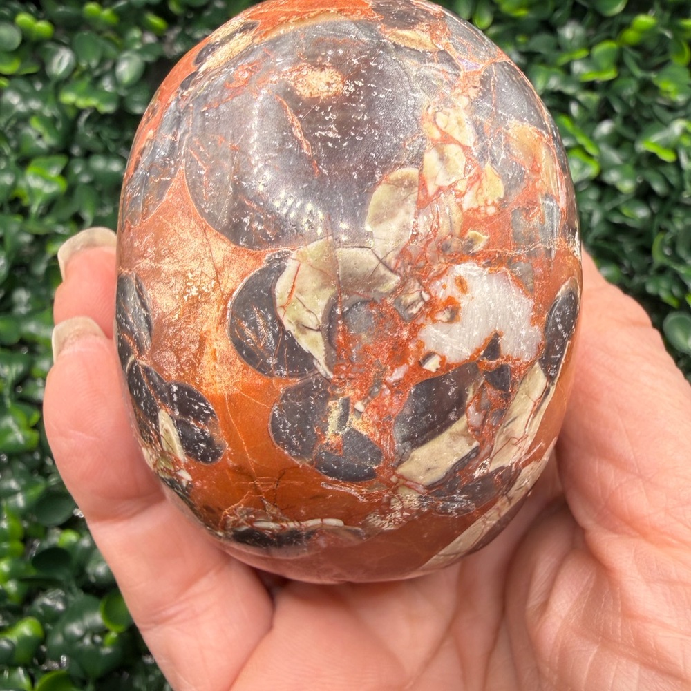 Money Agate (Indonesian Bloodstone) Skull Carving - Picture 8 of 8
